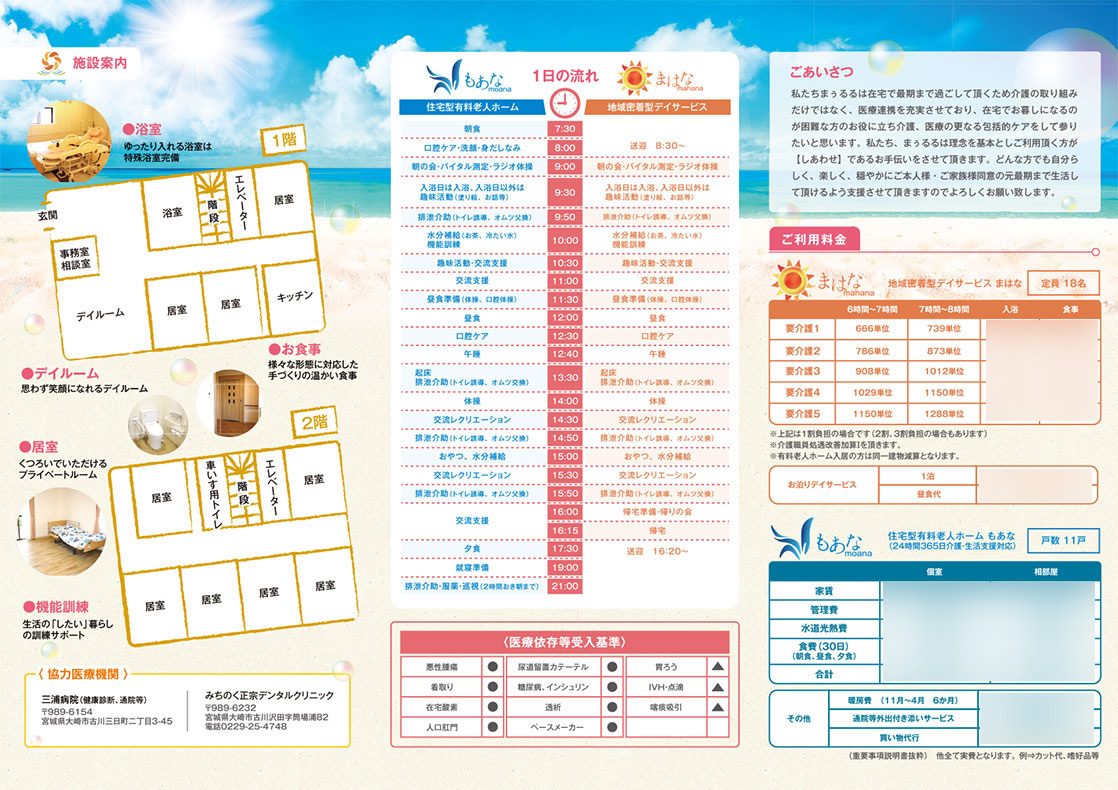 フロクソチップのリーフレット