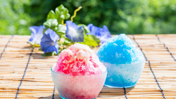 夏季休業（お盆休み）のご案内