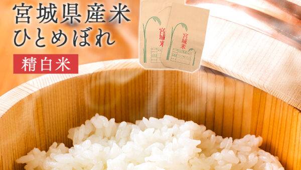 令和6年　宮城県産　ひとめぼれの販売について【令和７年1月16日更新】